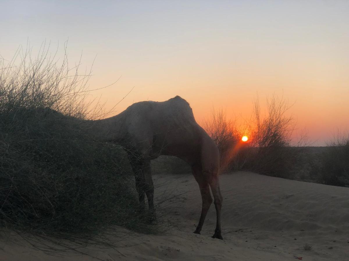 Hostel Desert Home Stay Jaisalmer Dış mekan fotoğraf